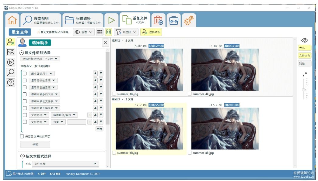 [Windows] 文件查重神器 Duplicate Cleaner Pro 5.0.13 中文版